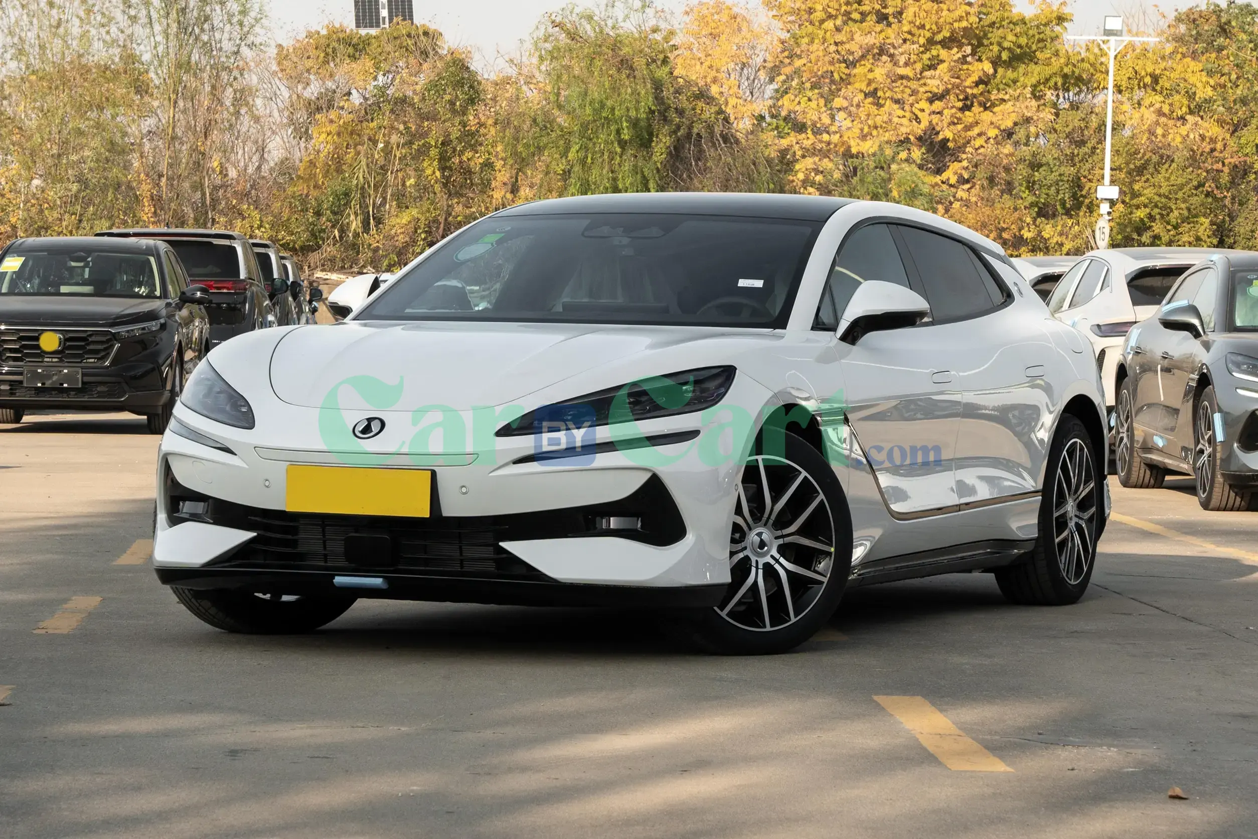 دنزا دنزا Z9GT 2025
