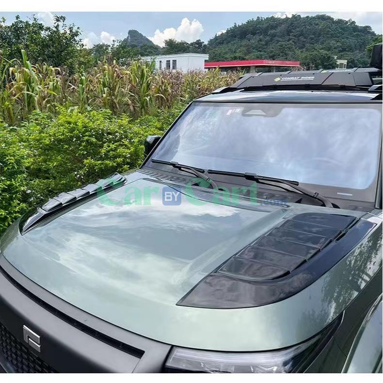 بوليستونيس 01 هود هود