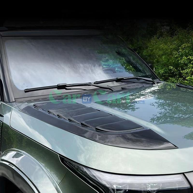 بوليستونيس 01 هود هود