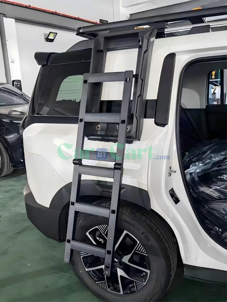 سلّم BAIC Rox  01