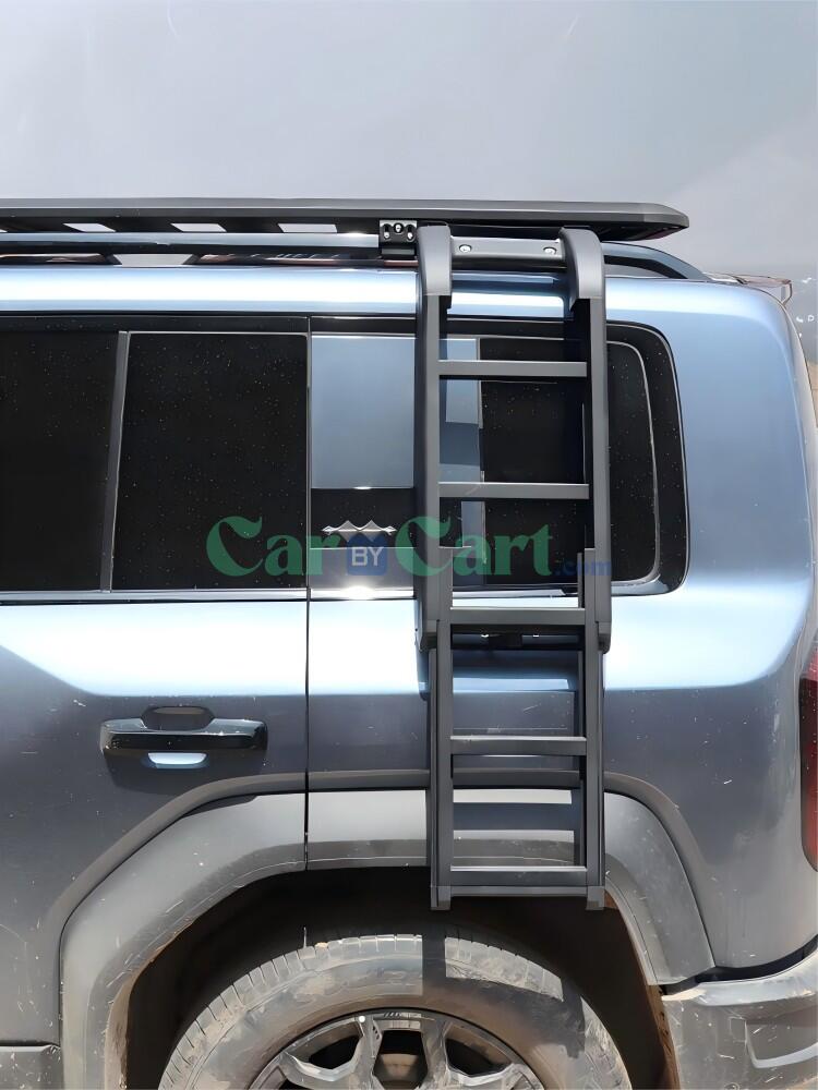 سلم تسلق جانبي فورمولا ليوبارد ٥