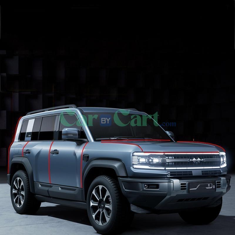 فورمولا ليوبارد 5 المطاط الشريط