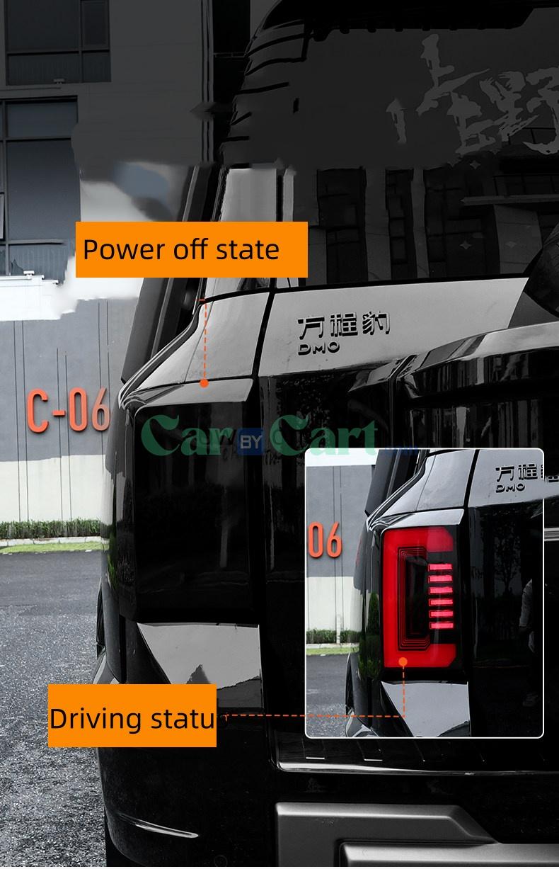 2025 Leopard 8 Tail light protection cover